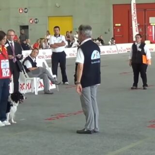 OCI: Obediencia Clase Internacional