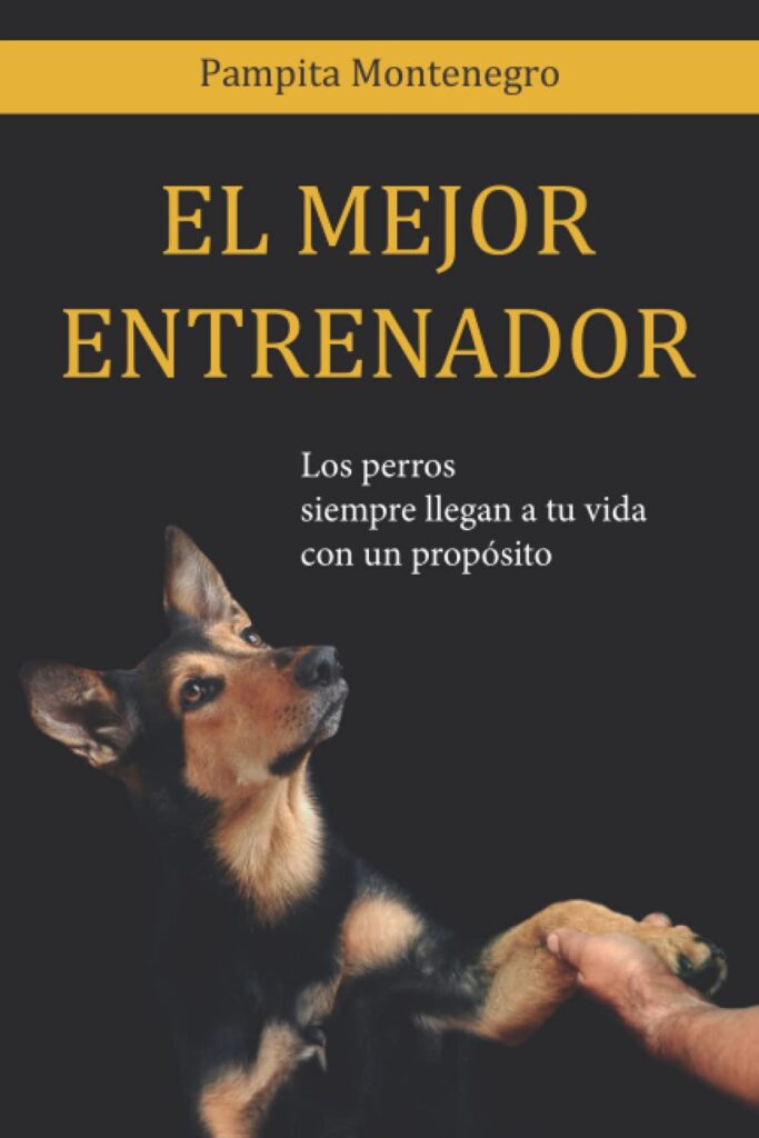 Tapa del libro El Mejor Entrenador