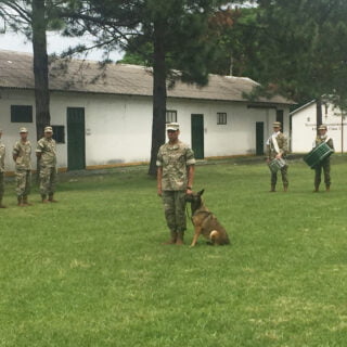 Perros del Ejército Argentino
