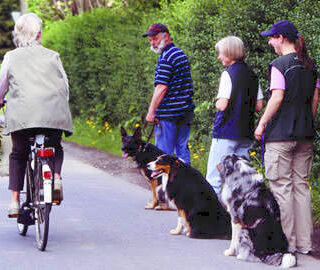 Prueba BH de obediencia canina