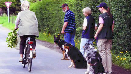 Prueba BH de obediencia canina